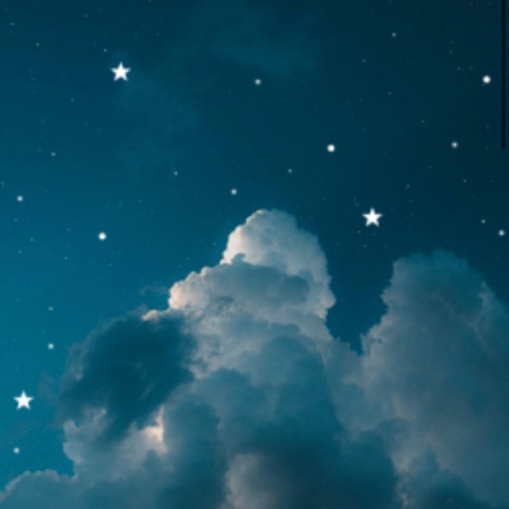 Meet your Posher, Penelope